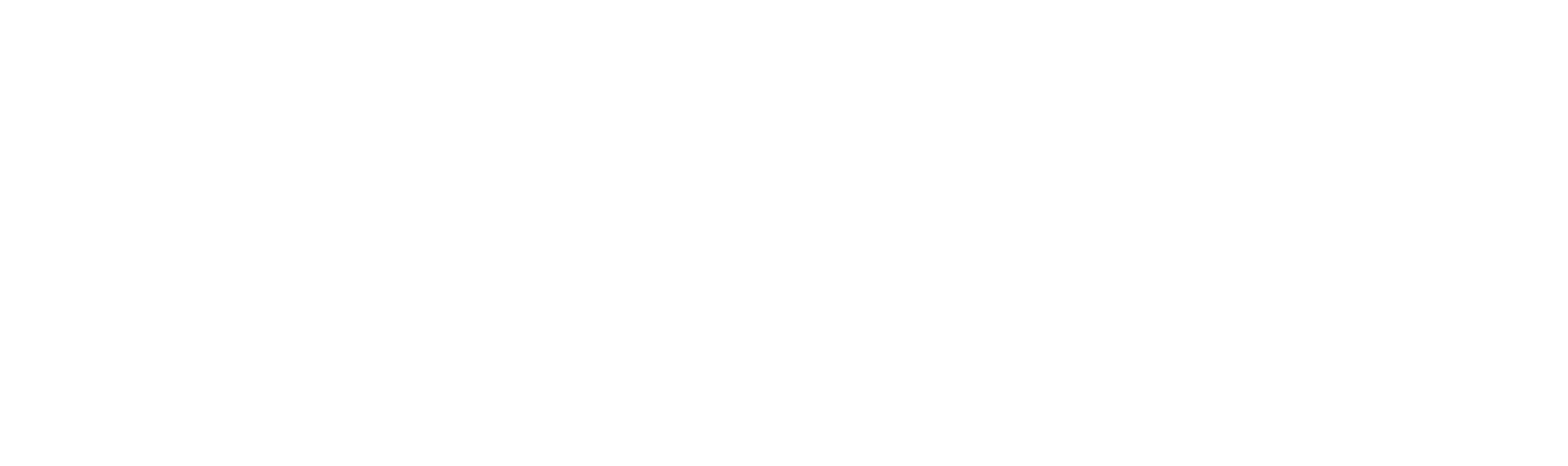 Turno de Exducere Online